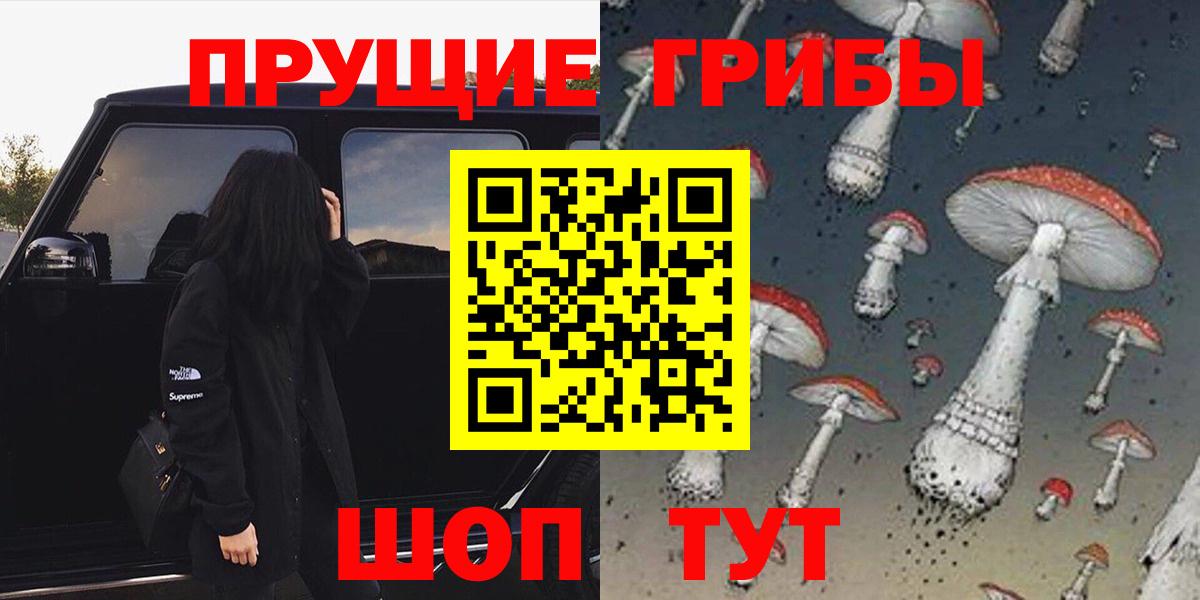 Псилоцибиновые грибы GOLDEN TEACHER Междуреченск